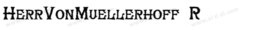 HerrVonMuellerhoff R字体转换